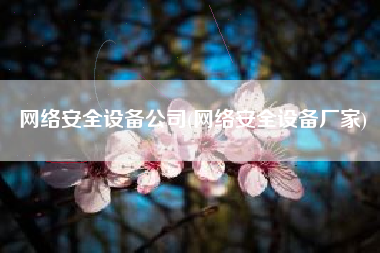 网络安全设备公司(网络安全设备厂家)