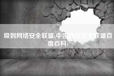 级到网络安全联盟(中国网络安全联盟百度百科)