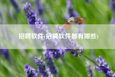 招聘软件(招聘软件都有哪些)