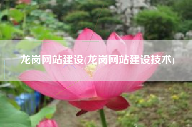 龙岗网站建设(龙岗网站建设技术)