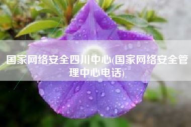 国家网络安全四川中心(国家网络安全管理中心电话)