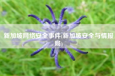 新加坡网络安全事件(新加坡安全与情报局)