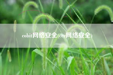 cobit网络安全(cec网络安全)