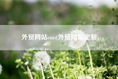 外贸网站cms(外贸网站定制)