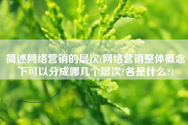 简述网络营销的层次(网络营销整体概念下可以分成哪几个层次?各是什么?)