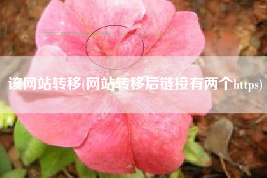 该网站转移(网站转移后链接有两个https)