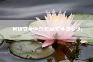 网络安全道哥(网络安全知多少)