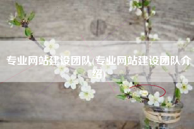 专业网站建设团队(专业网站建设团队介绍)