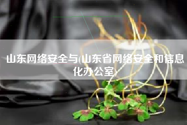 山东网络安全与(山东省网络安全和信息化办公室)