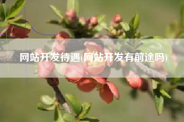 网站开发待遇(网站开发有前途吗)