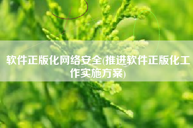 软件正版化网络安全(推进软件正版化工作实施方案)
