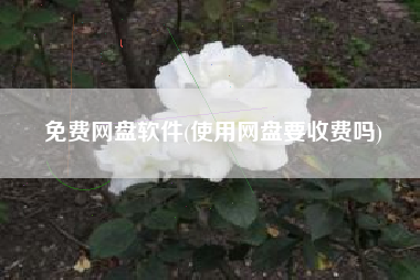 免费网盘软件(使用网盘要收费吗)