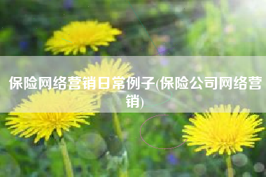 保险网络营销日常例子(保险公司网络营销)