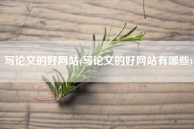 写论文的好网站(写论文的好网站有哪些)
