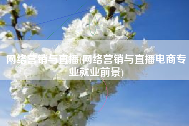 网络营销与直播(网络营销与直播电商专业就业前景)