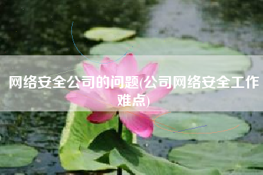 网络安全公司的问题(公司网络安全工作难点)