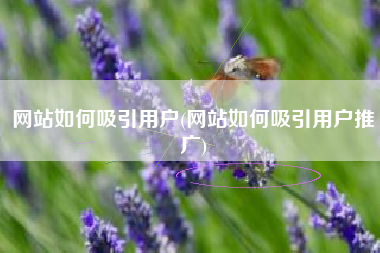 网站如何吸引用户(网站如何吸引用户推广)