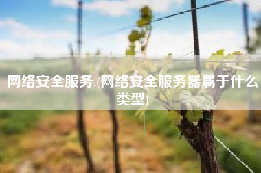网络安全服务.(网络安全服务器属于什么类型)