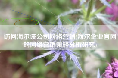 访问海尔该公司网络营销(海尔企业官网的网络营销策略分析研究)