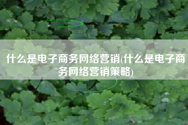 什么是电子商务网络营销(什么是电子商务网络营销策略)