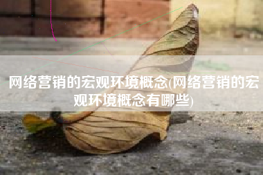 网络营销的宏观环境概念(网络营销的宏观环境概念有哪些)