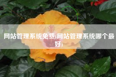 网站管理系统免费(网站管理系统哪个最好)