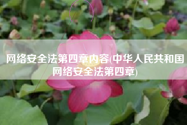 网络安全法第四章内容(中华人民共和国网络安全法第四章)