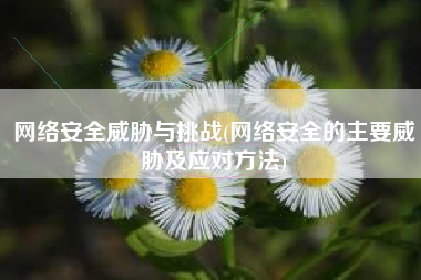 网络安全威胁与挑战(网络安全的主要威胁及应对方法)