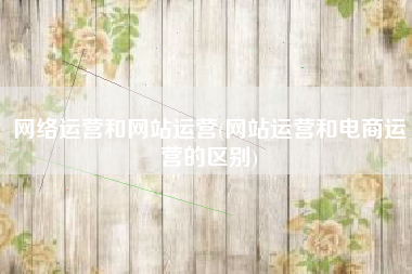 网络运营和网站运营(网站运营和电商运营的区别)
