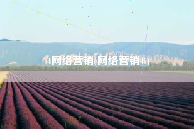 4网络营销(网络营销4i)