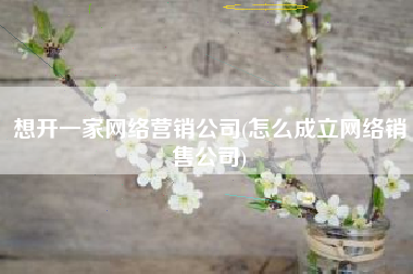 想开一家网络营销公司(怎么成立网络销售公司)