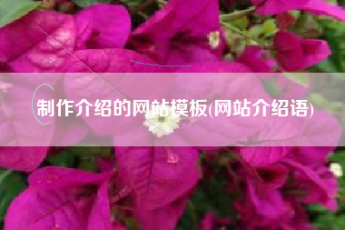 制作介绍的网站模板(网站介绍语)