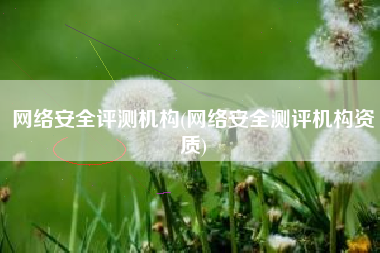 网络安全评测机构(网络安全测评机构资质)