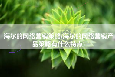 海尔的网络营销策略(海尔的网络营销产品策略有什么特点)