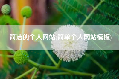 简洁的个人网站(简单个人网站模板)