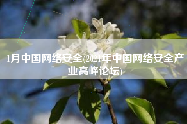 1月中国网络安全(2021年中国网络安全产业高峰论坛)