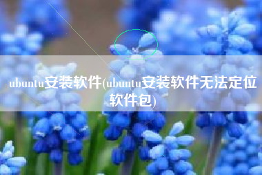 ubuntu安装软件(ubuntu安装软件无法定位软件包)