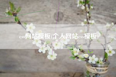 css网站模板(个人网站css模板)
