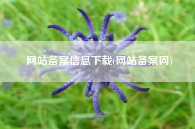 网站备案信息下载(网站备案网)