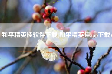 和平精英挂软件下载(和平精英挂app下载)