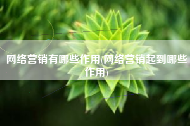 网络营销有哪些作用(网络营销起到哪些作用)