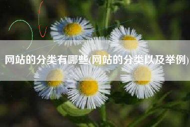 网站的分类有哪些(网站的分类以及举例)