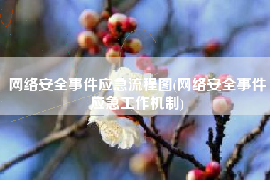 网络安全事件应急流程图(网络安全事件应急工作机制)