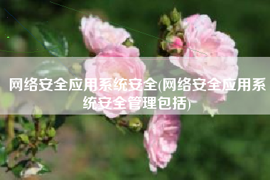 网络安全应用系统安全(网络安全应用系统安全管理包括)