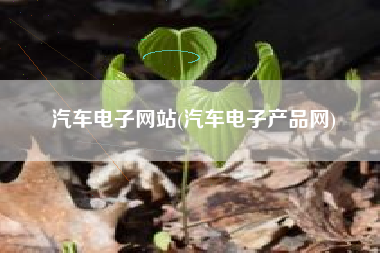汽车电子网站(汽车电子产品网)