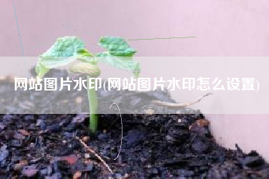 网站图片水印(网站图片水印怎么设置)