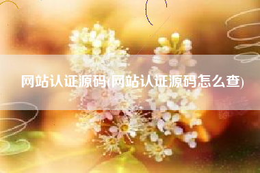 网站认证源码(网站认证源码怎么查)