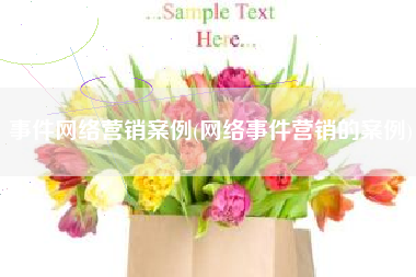 事件网络营销案例(网络事件营销的案例)
