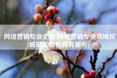 网络营销专业企业(网络营销专业领域权威的企业机构有哪些)