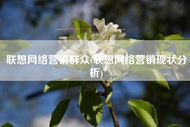 联想网络营销群众(联想网络营销现状分析)